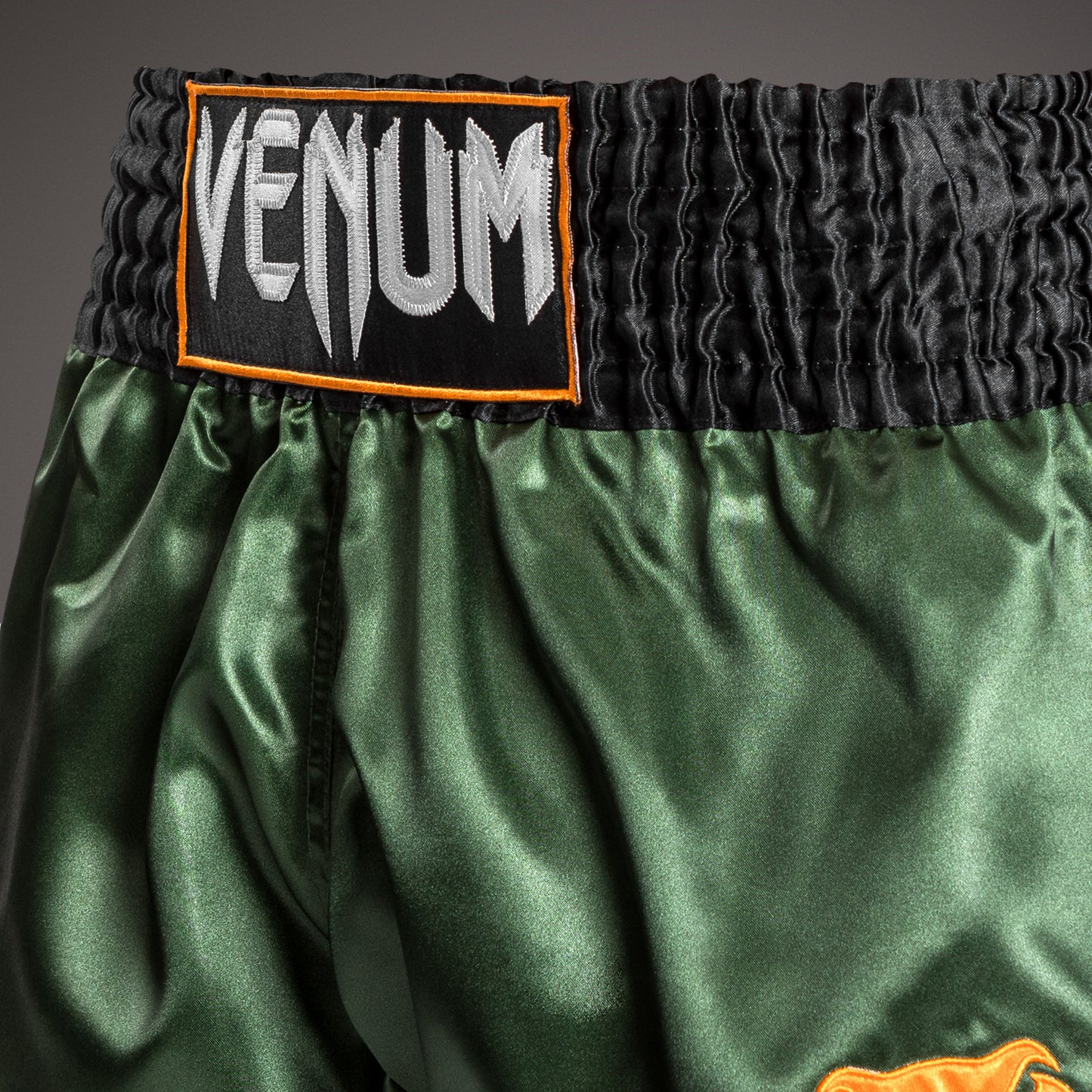 Venum Classic Muay Thai Shorts - Grün/Gold/Schwarz