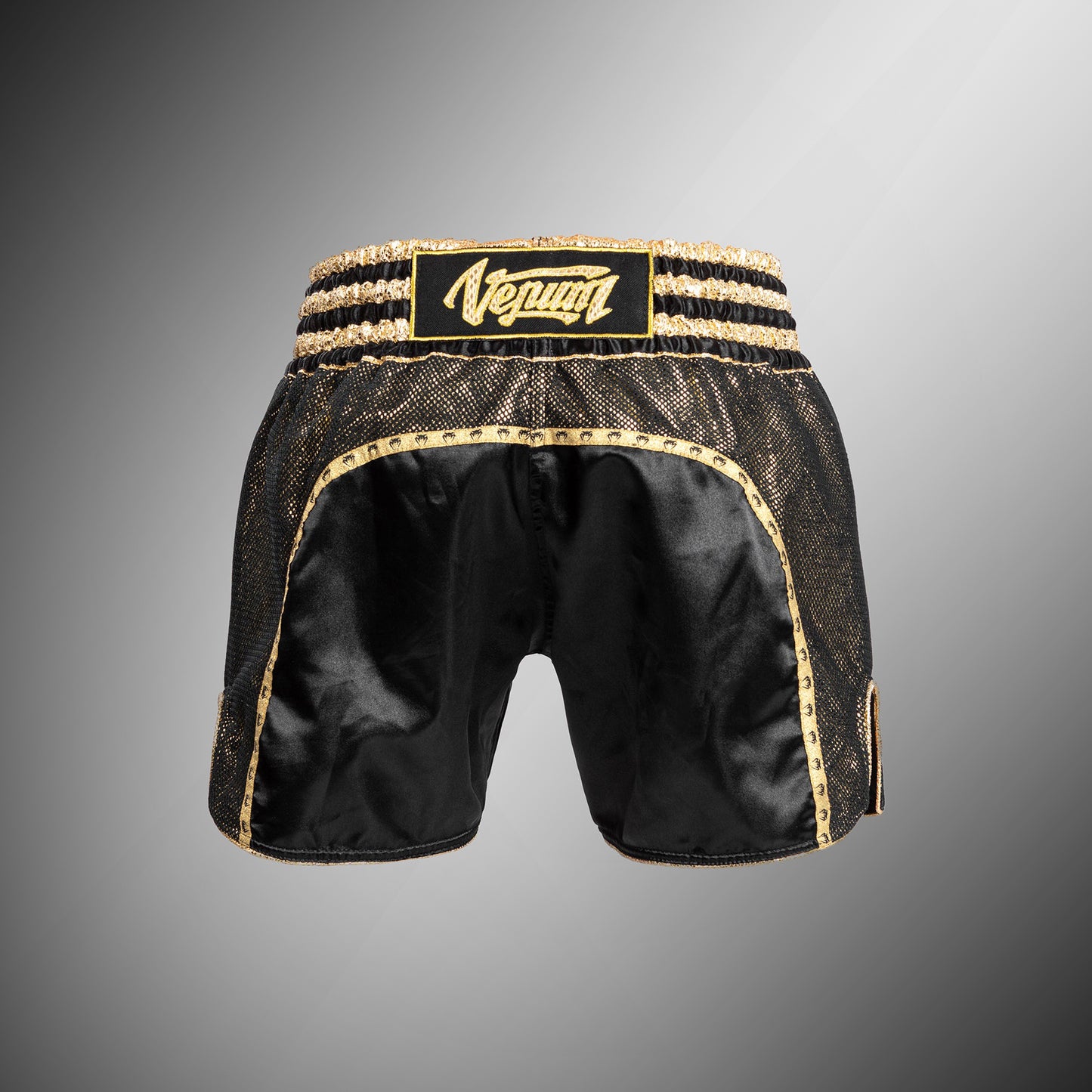 Venum Absolute 2.0 Muay Thai Shorts - Schwarz/Gold