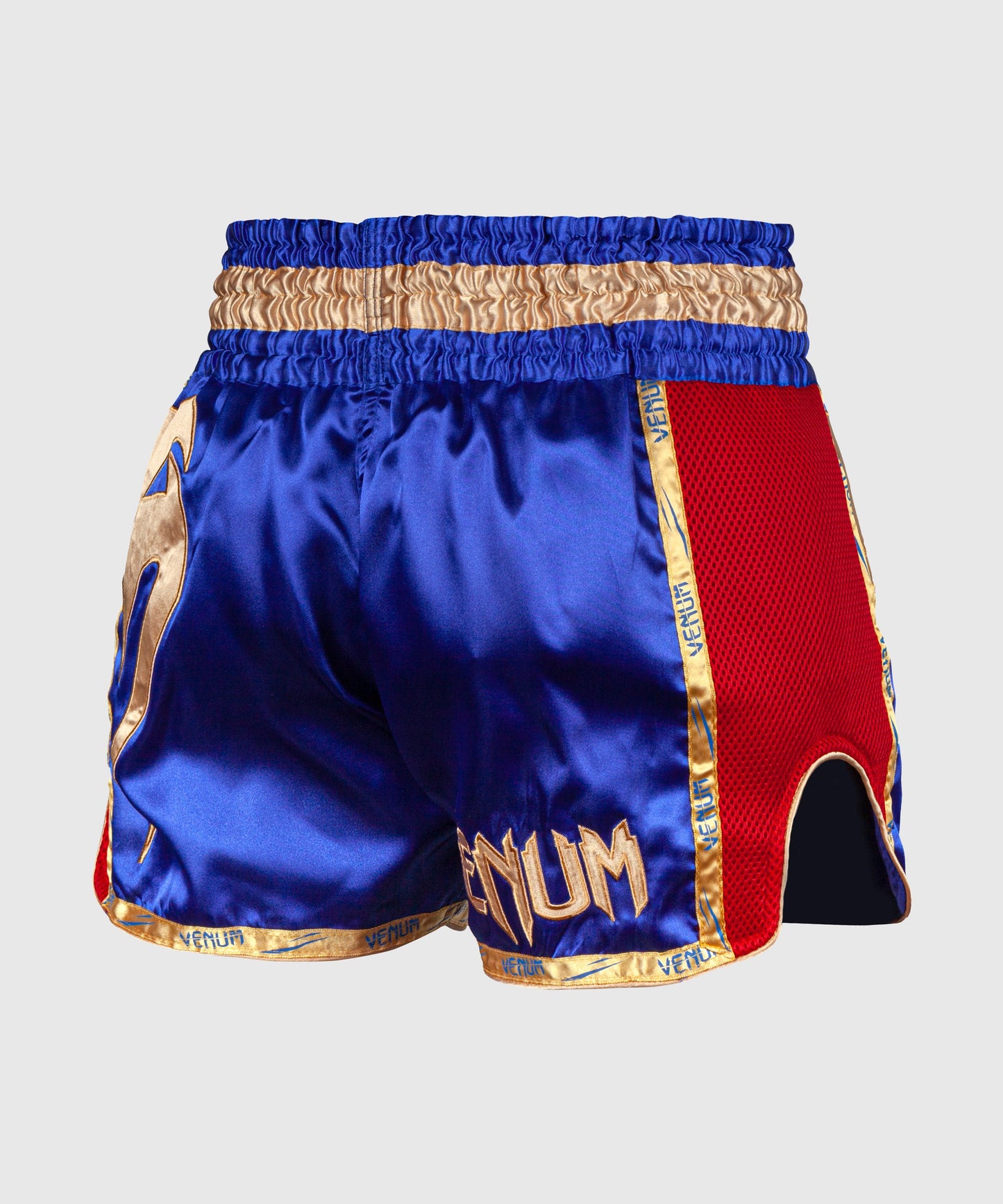 Muay Thai Shorts Venum Giant - Navy/Gold