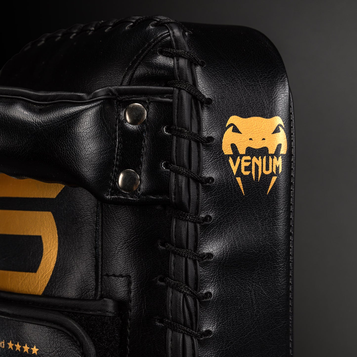 Venum Giant Trittkissen (Paar) - Schwarz/Gold