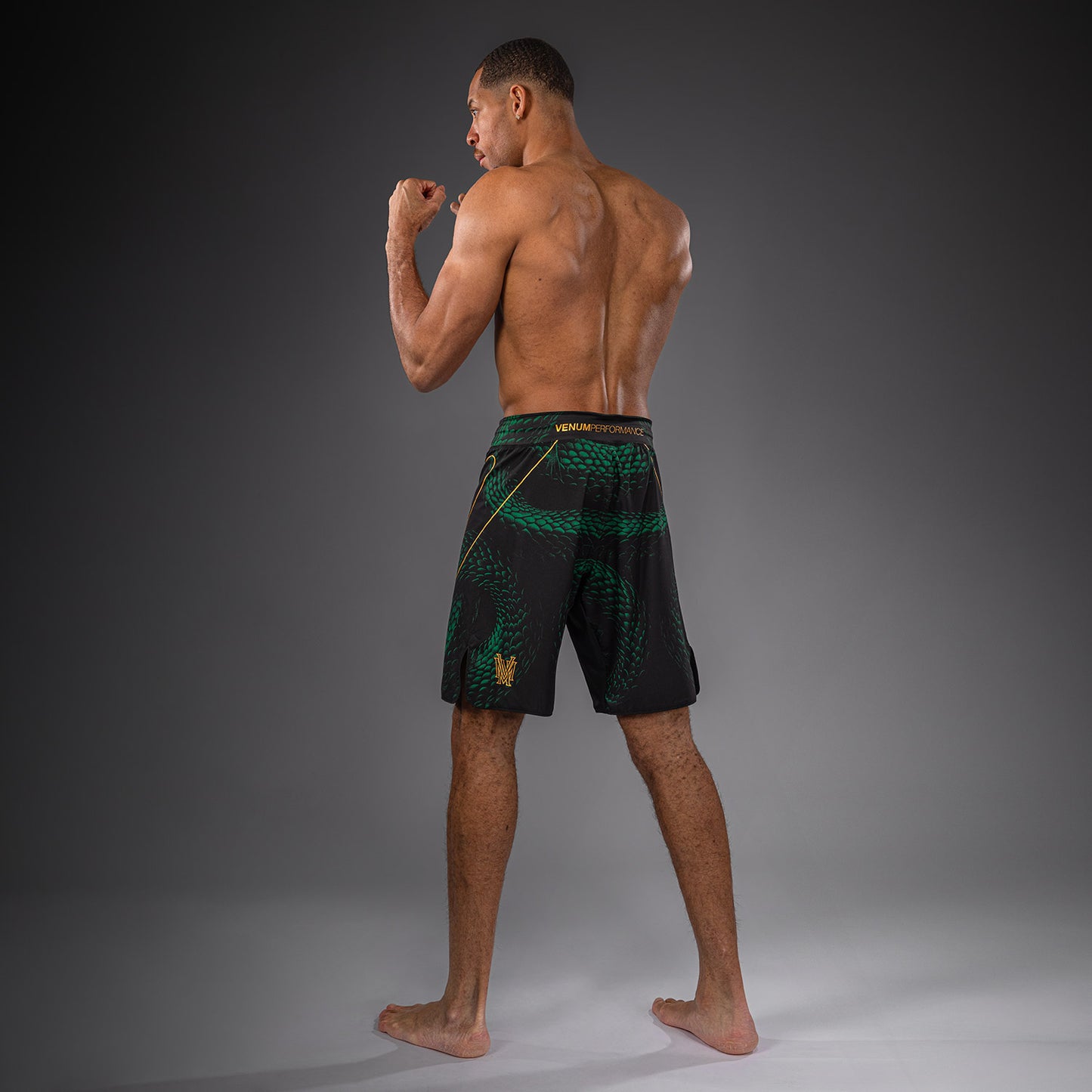 Venum Matupa Fightshorts - Schwarz/Grün/Gold