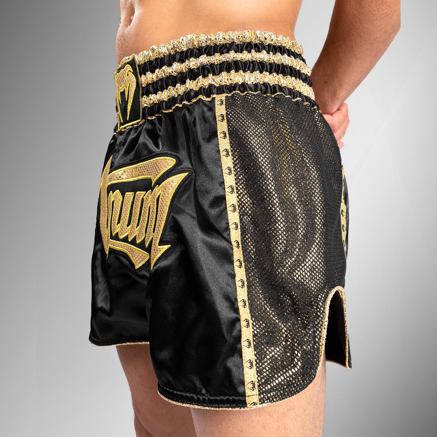 Venum Absolute 2.0 Muay Thai Shorts - Schwarz/Gold