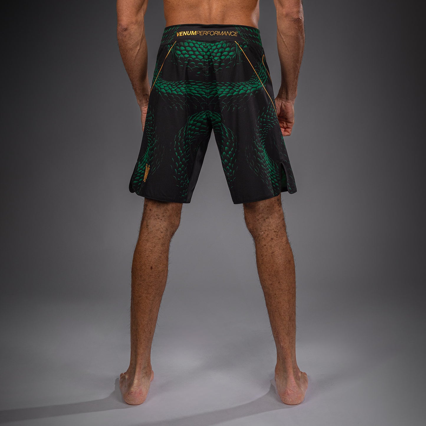 Venum Matupa Fightshorts - Schwarz/Grün/Gold