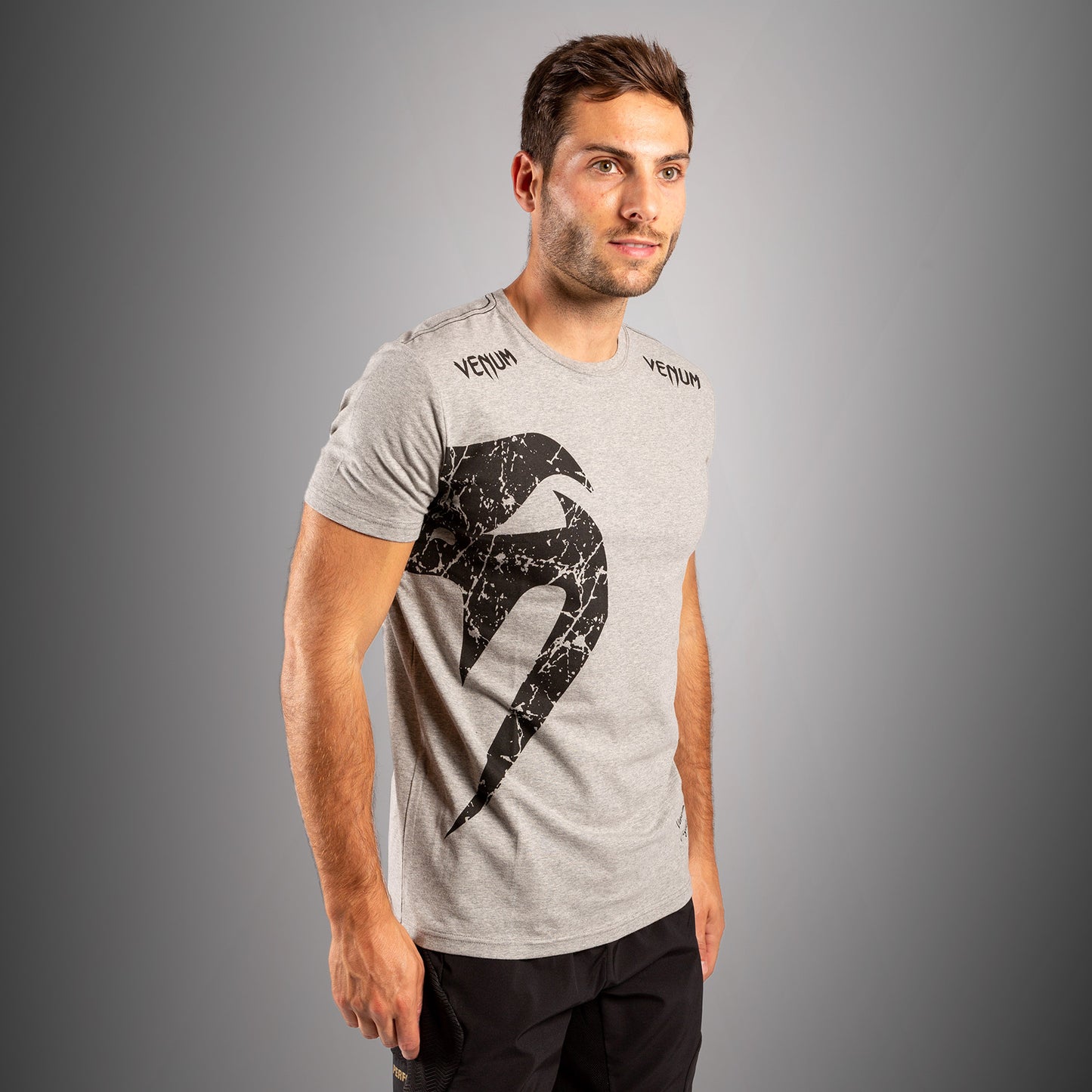 Venum Giant T-Shirt - Grau/Schwarz