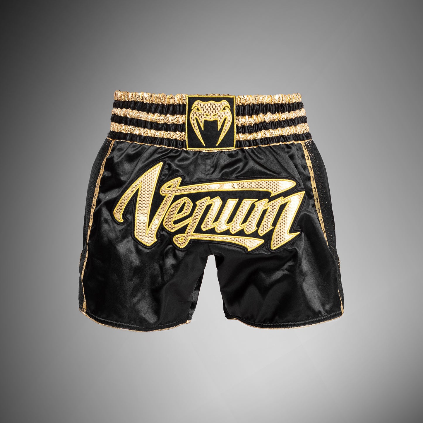 Venum Absolute 2.0 Muay Thai Shorts - Schwarz/Gold