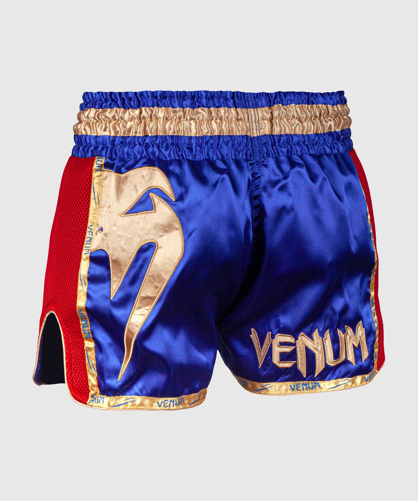 Muay Thai Shorts Venum Giant - Navy/Gold