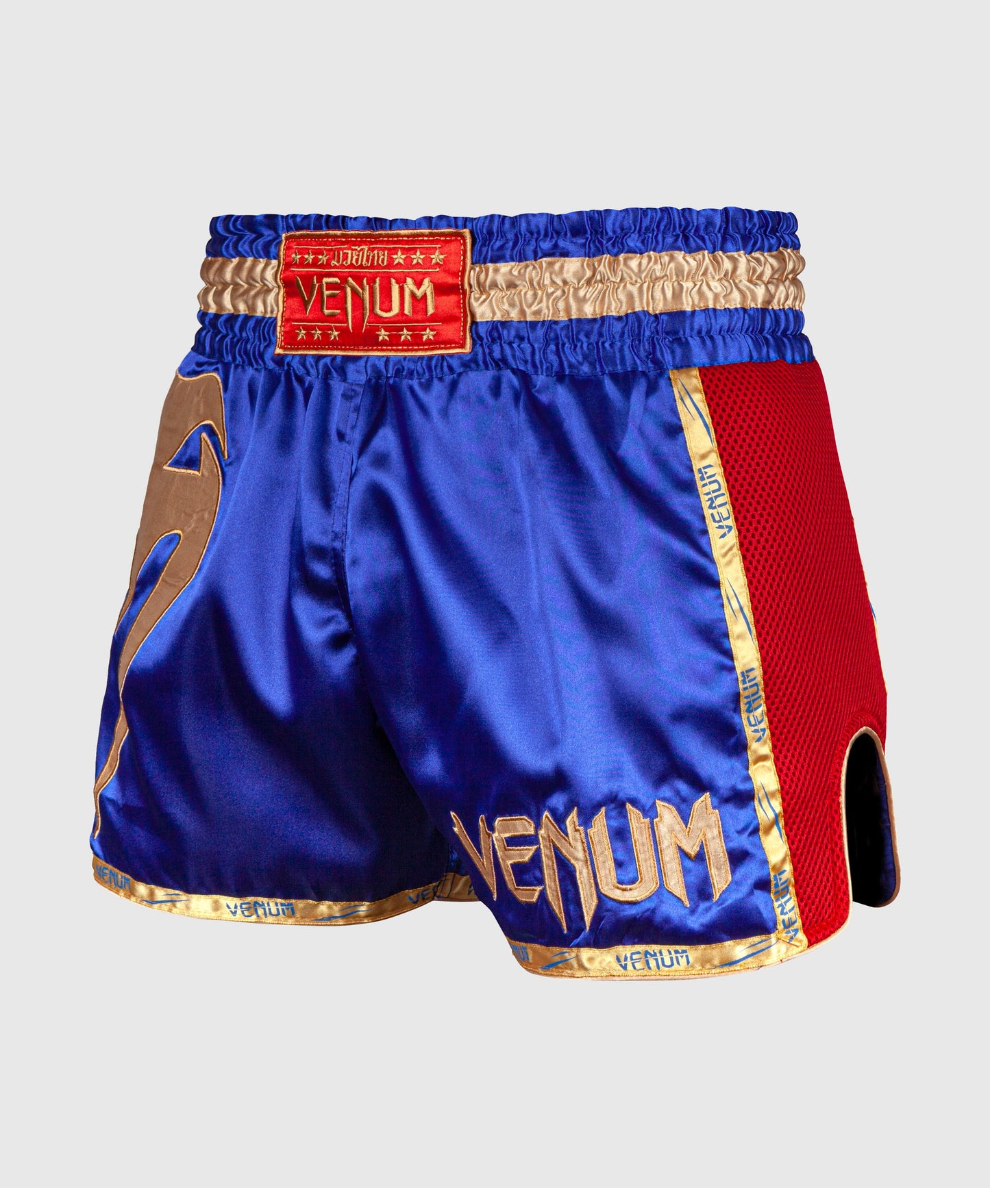 Muay Thai Shorts Venum Giant - Navy/Gold