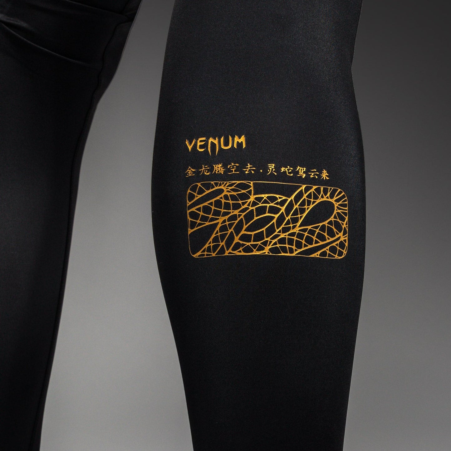 Venum Serpenti Spats – Schwarz/Silber/Gold