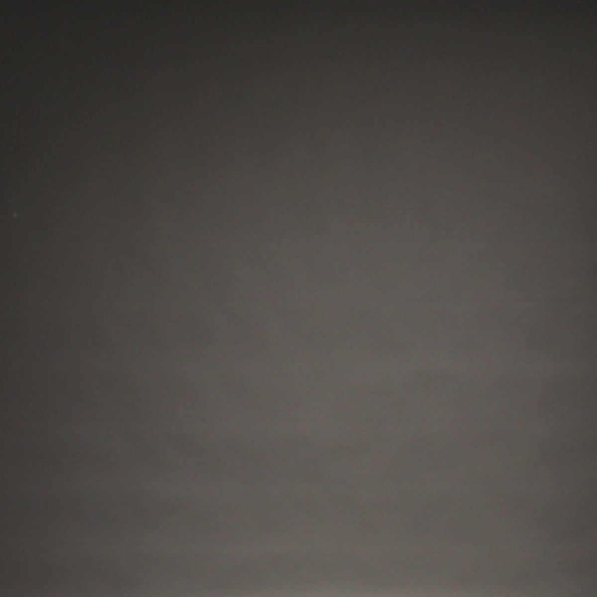 VENUM-06493-010